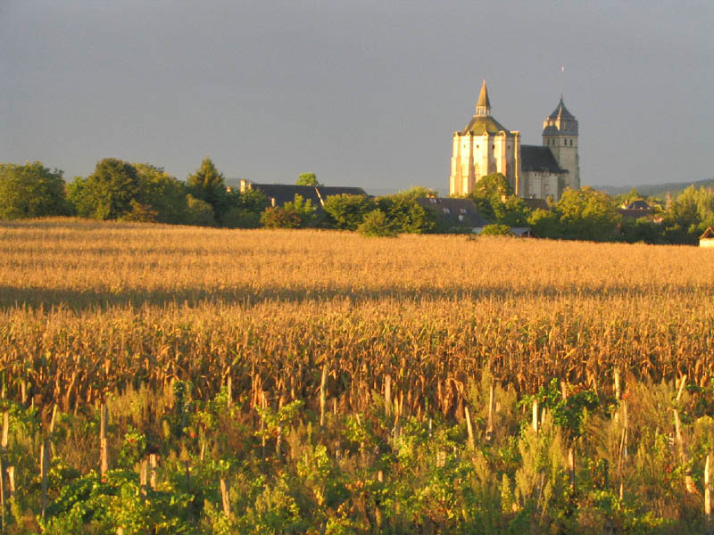 agriculture2